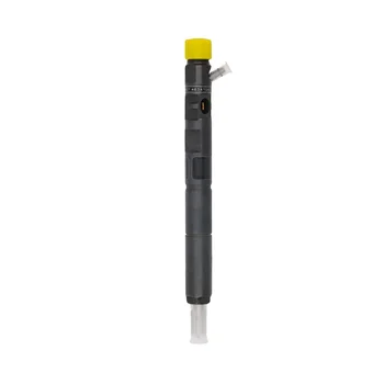 EJBR03901D/EJBR03902D Common Rail Injektor