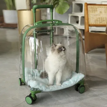 Mačka Taška Z Prenosné Kapsule Doprava Pet Batoh Pet Priehľadné Z Priedušná Vozíka Prípade Kabelka